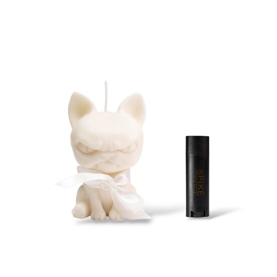 Angry cat and lip balm