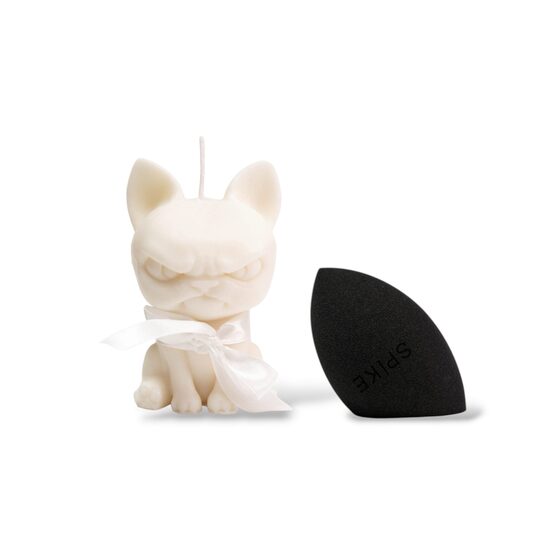 Angry cat and makeup sponge